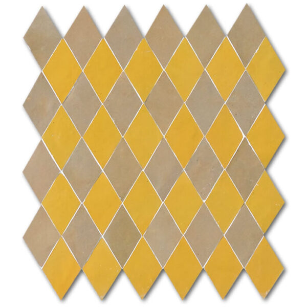 Assala MTP15-02