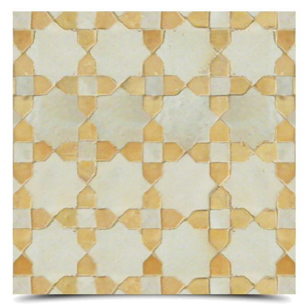 Tanaya MTP14-03