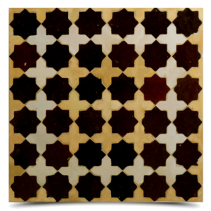Tanaya MTP14-09