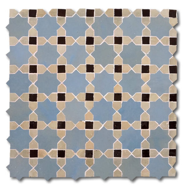 Tanaya MTP14-15