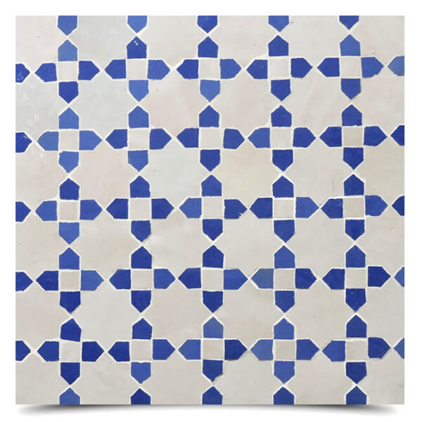 Tanaya MTP14-16